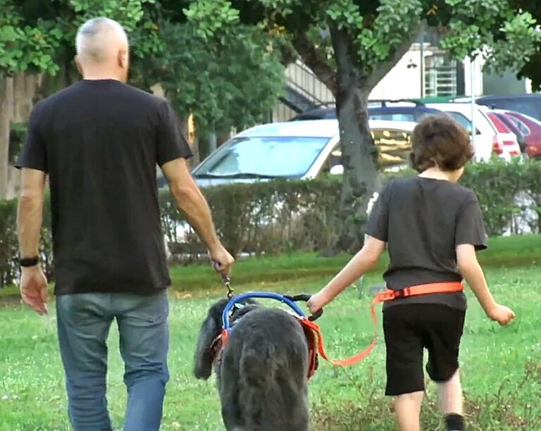 Ένθετο Προσβασιμότητα: «Friends For Life», ένα κέντρο που εκπαιδεύει σκύλου βοηθούς για παιδιά με αυτισμό