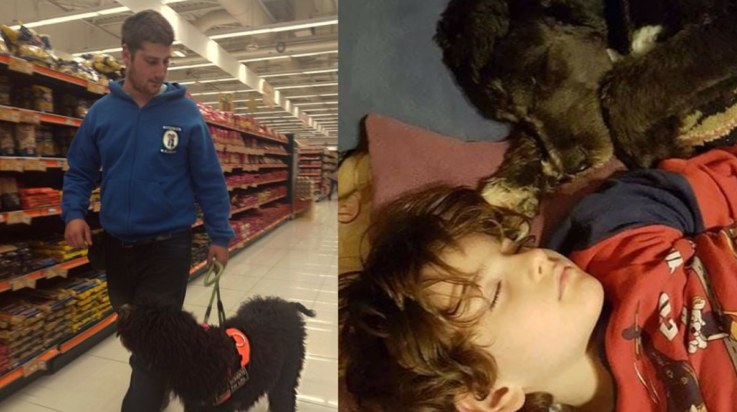 Ο Τάκης Πετρόπουλος φέρνει σκύλους κοντά σε παιδιά με αυτισμό